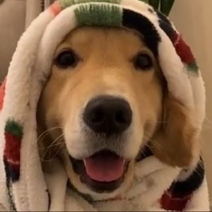 Meet your Posher, Sean